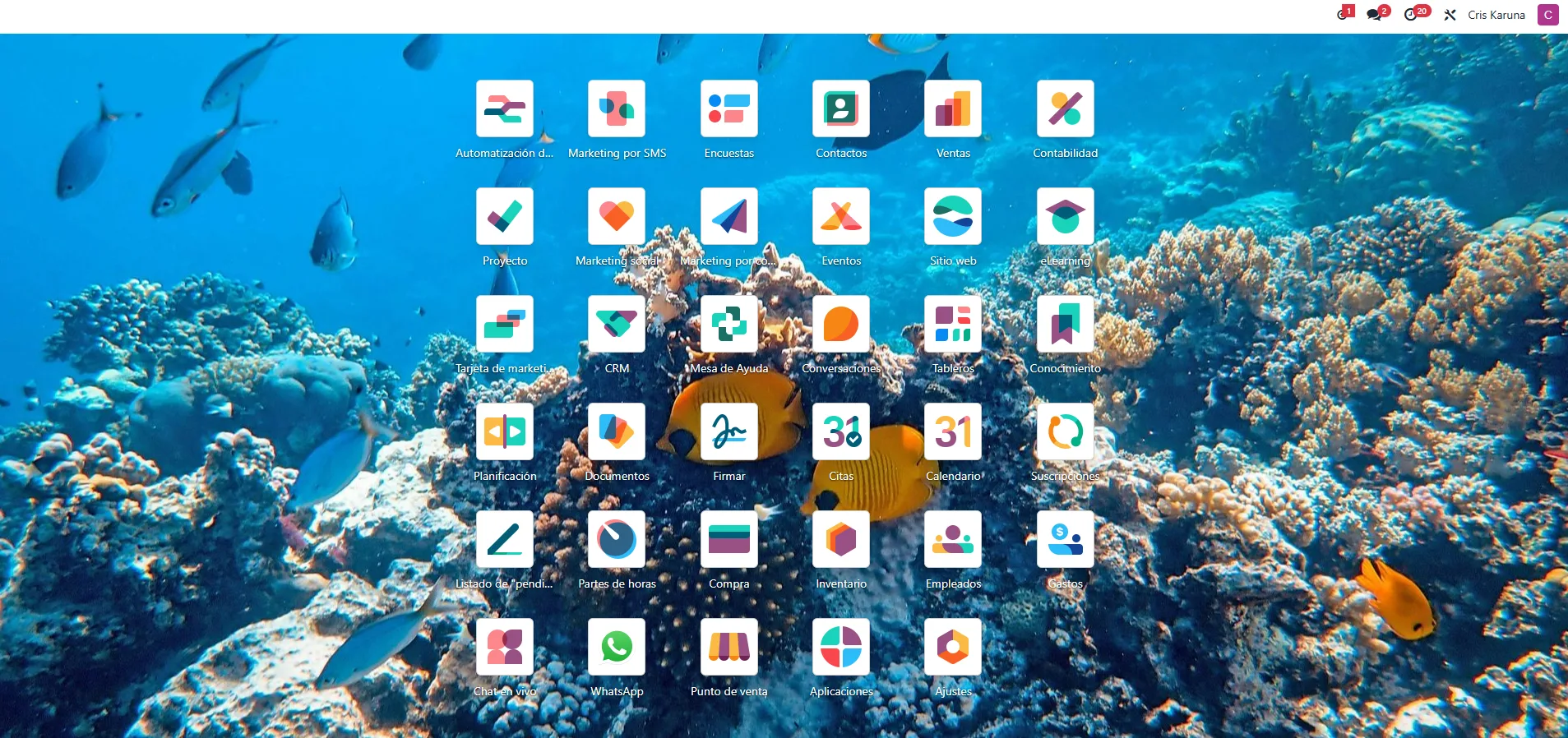 Panel Odoo - Módulos instalados de Cris Karuna